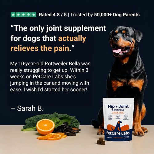 Advanced Hip & Joint Chews