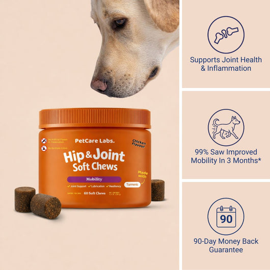 Advanced Hip & Joint Chews (SP)