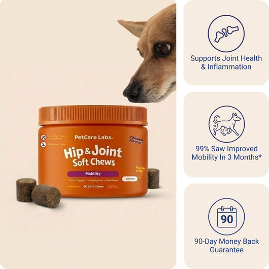 Advanced Hip & Joint Chews