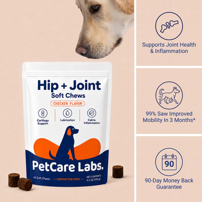 Advanced Hip & Joint Chews