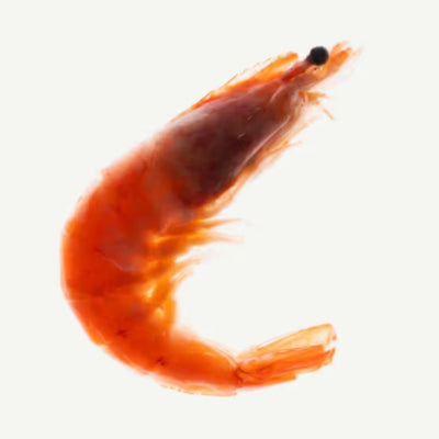 Glucosamine HCI (Shellfish)