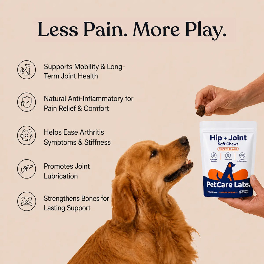 Advanced Joint Chews
