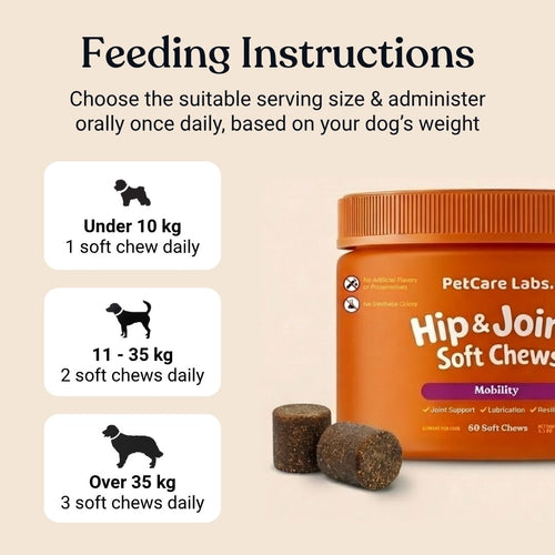 Advanced Hip & Joint Chews