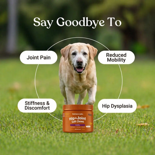 Advanced Hip & Joint Chews