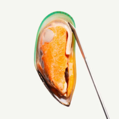 Green Lipped Mussels