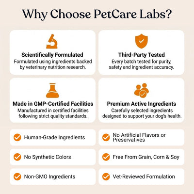 Advanced Hip & Joint Chews