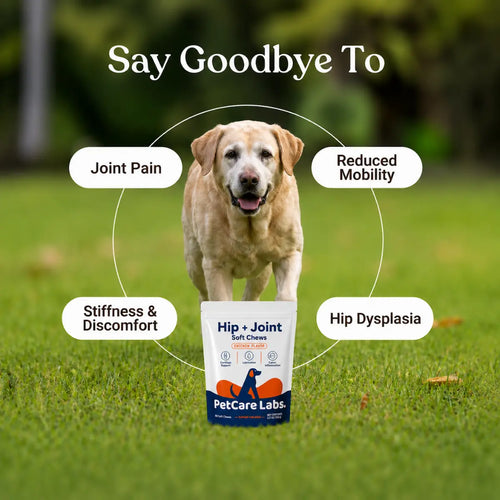 Advanced Hip & Joint Chews