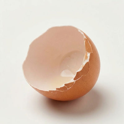 Egg Shell Membrane