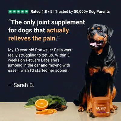 Advanced Hip & Joint Chews (SP)