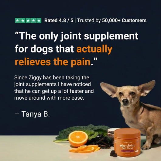 Advanced Hip & Joint Chews