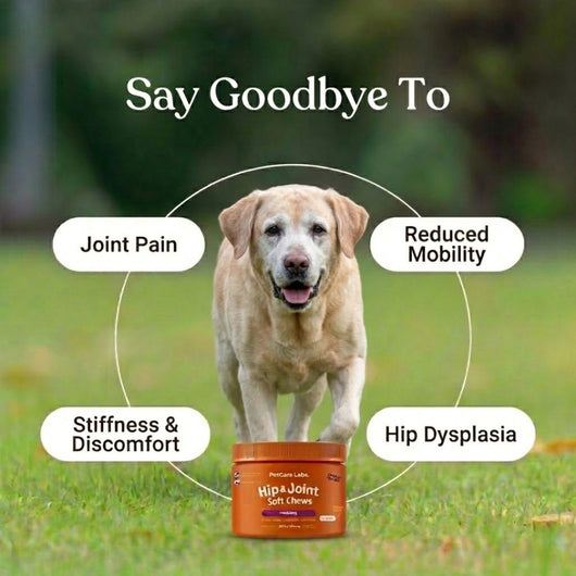 Advanced Hip & Joint Chews