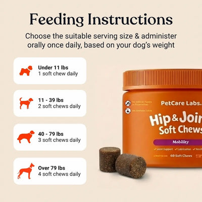 Advanced Hip & Joint Chews (SP)