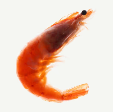 Glucosamine HCI (Shellfish)