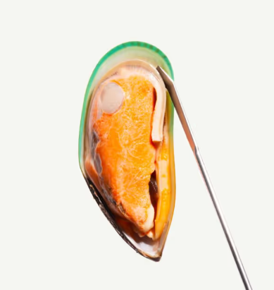 Green Lipped Mussels