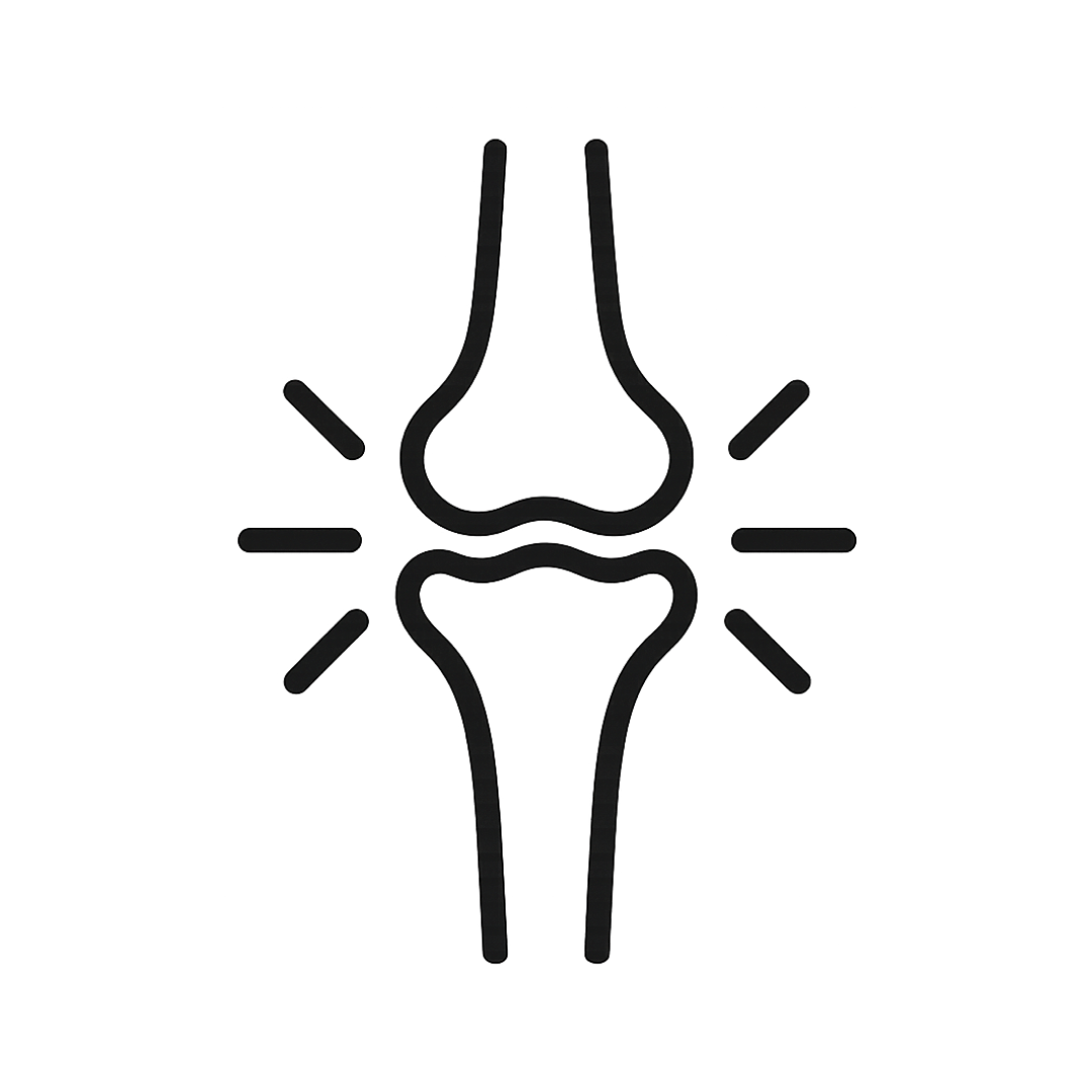 Promotes joint lubrication